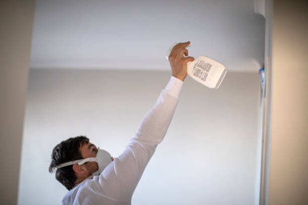 Best Mold Removal Process  in Steger, IL